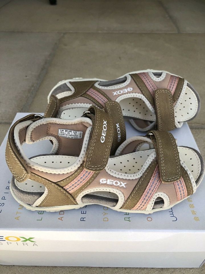 GEOX Sandalen NEU Gr 31 in Offenbach