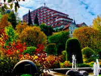 FEWO Apartment für 2 Pers. Urlaub im HARZ OSTERN frei für 1 Woche Bad Grund (Harz) - Windhausen Vorschau