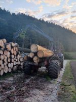 Holzrücken, Holztransport, Lohnrücken, Rückearbeiten, Rückewagen Bayern - Neuburg a.d. Donau Vorschau