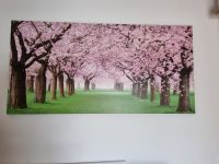 Wandbild "rosa Blüten" Düsseldorf - Garath Vorschau