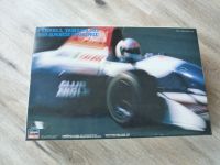 Tyrrell Yamaha 021 - 1993 - 1:24 Bausatz - Formel 1 A. De Cesaris Hessen - Darmstadt Vorschau