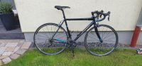 Rennrad Carver Evolution RH56 Rheinland-Pfalz - Worms Vorschau