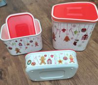 Tupperware Quadro Set Lebkuchen/Weihnachten Baden-Württemberg - Bietigheim-Bissingen Vorschau