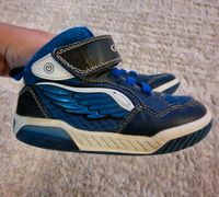 Geox Blinkschuhe Gr 29  / Halbschuh / Übergangsschuhe Wandsbek - Hamburg Rahlstedt Vorschau