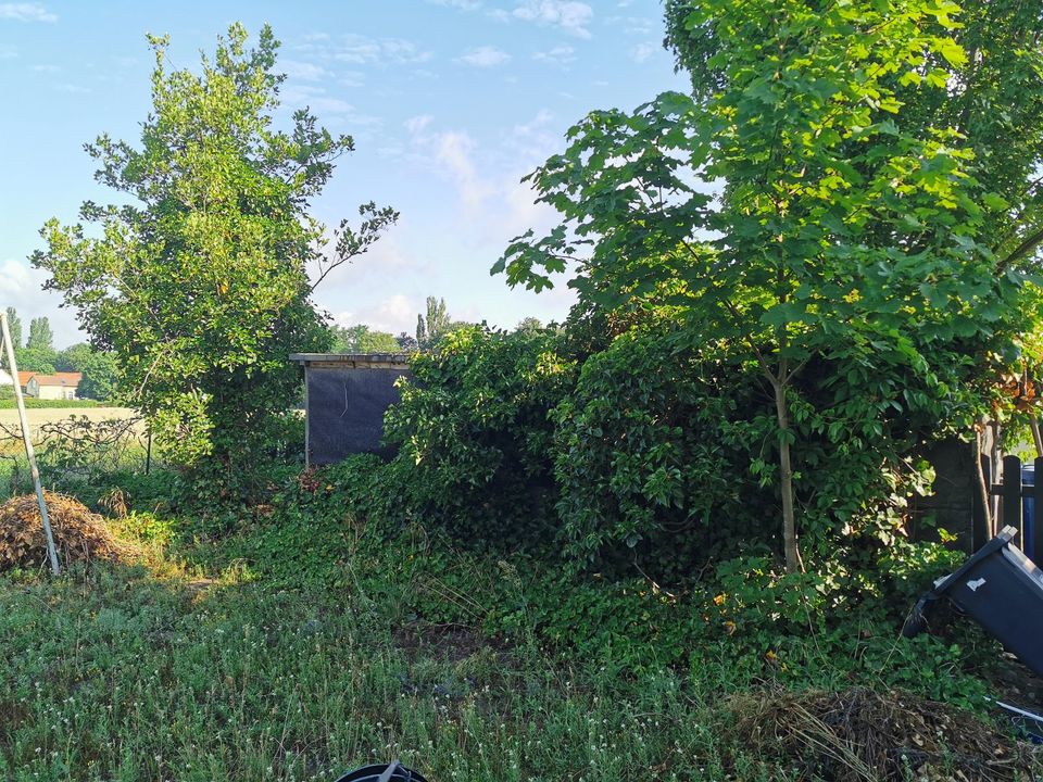 Hausmeisterservice Transporte Umzüge Hilfe Gartenarbeit Silikon in Werder (Havel)