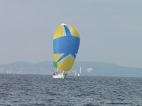 Spinnaker, Spi, ca 156 qm, mit Segelsack, 3x gesegelt Baden-Württemberg - Isny im Allgäu Vorschau