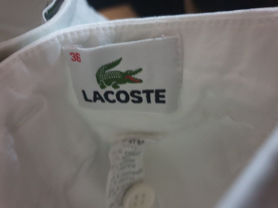 Lacoste Damen Shorts, kurze Hose, weiß, 36 in Essen