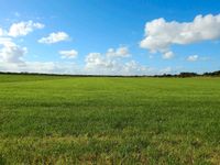 KAUFGESUCH Landhaus / Resthof mit Land Niedersachsen - Esens Vorschau