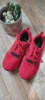 Puma Soft Foum, 38,5 Niedersachsen - Syke Vorschau