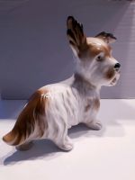 W & A Gräfenthal Porzellan Hund Yorkshire Terrier 17 cm Nürnberg (Mittelfr) - Nordstadt Vorschau