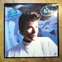 The Blow Monkeys Animal Magic LP 1986 Vinyl near mint Wicked Ways Kiel - Ravensberg-Brunswik-Düsternbrook Vorschau