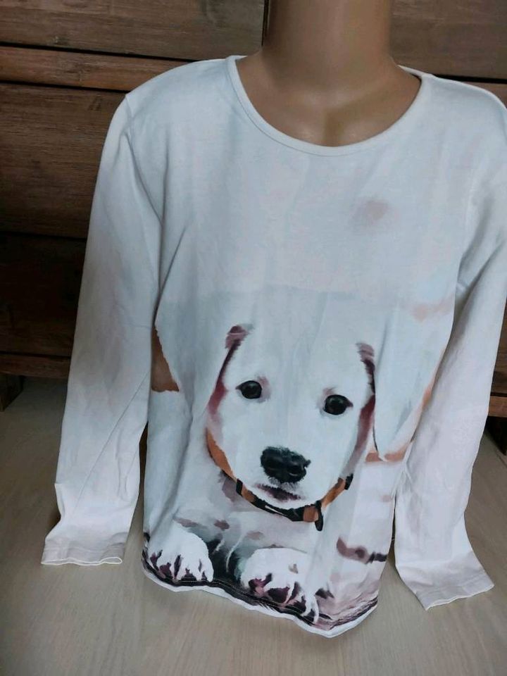 Jako-o 9x Sweatshirt Fotodruck  152/158 TOP Pferde Huskie Eisbär in Holzerode