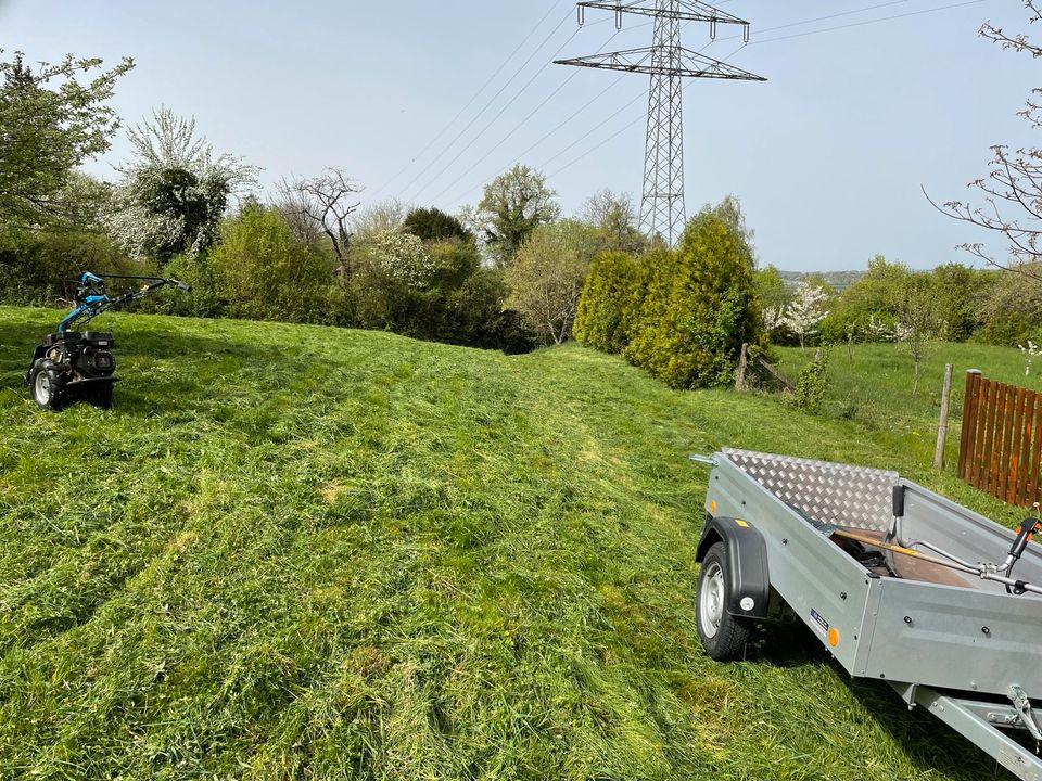 Großes Stückle, Garten, Baumwiese in Winnenden in Stuttgart