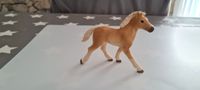 Schleich Haflinger Fohlen 13814 - Pferde - Reiterhof - Tiere - Hessen - Homberg (Efze) Vorschau