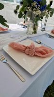 Baumwoll Stoffservietten in rosa zu vermieten Sachsen - Delitzsch Vorschau