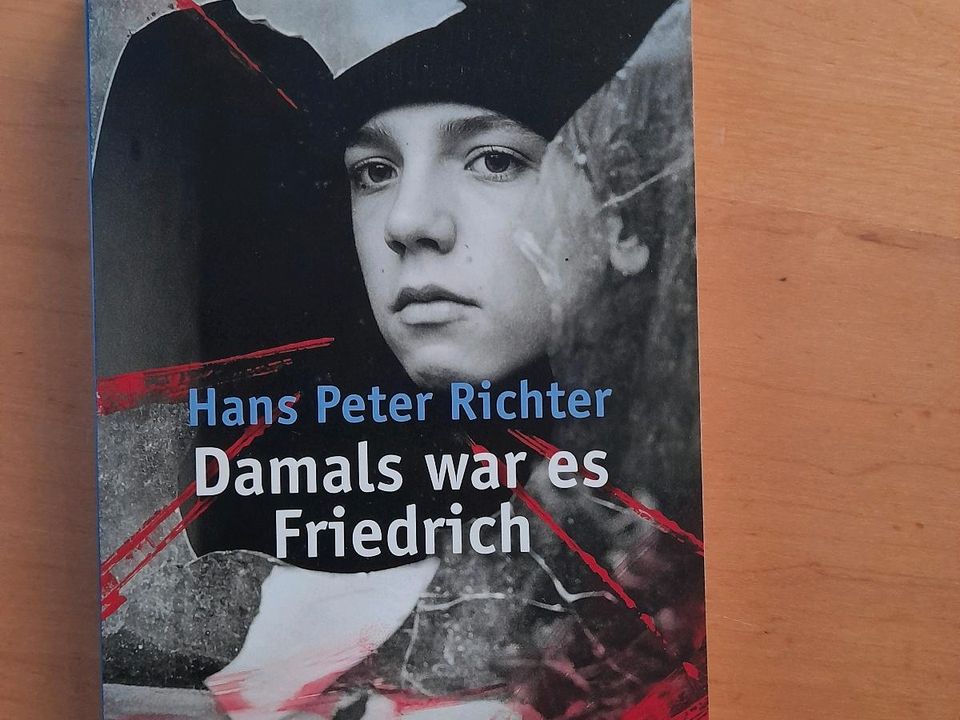 Buch   -   Damals war es Friedrich in Wangen im Allgäu