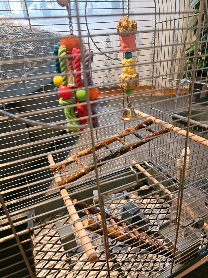 Zu verkaufen ist ein Papageienkäfig mit allem Inhalt, der praktis in Harsewinkel
