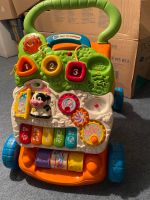 Laufwagen von Vtech Thüringen - Witzleben Vorschau