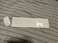 Apple Tastatur und Maus Magic Mouse 2 Sachsen - Schönwölkau-Hohenroda Vorschau