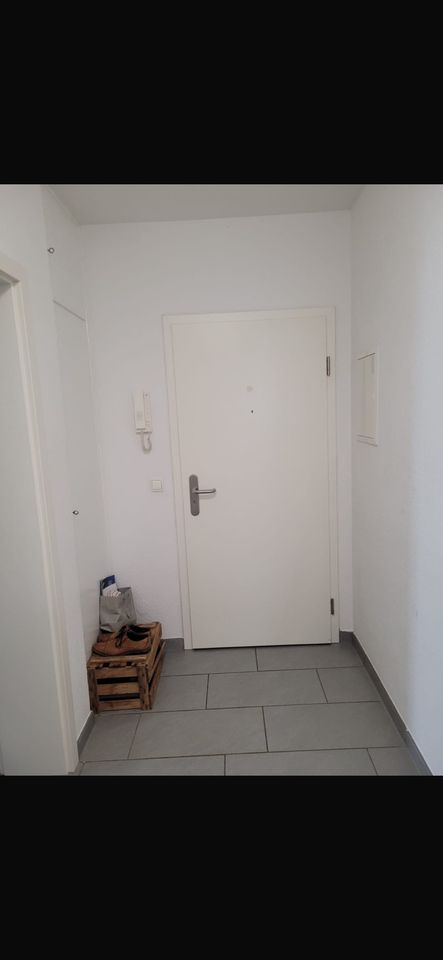 Tauschwohnung Biete 3 Zimmer in Bonn Suche 2 - 3 Zimmer Berlin in Berlin