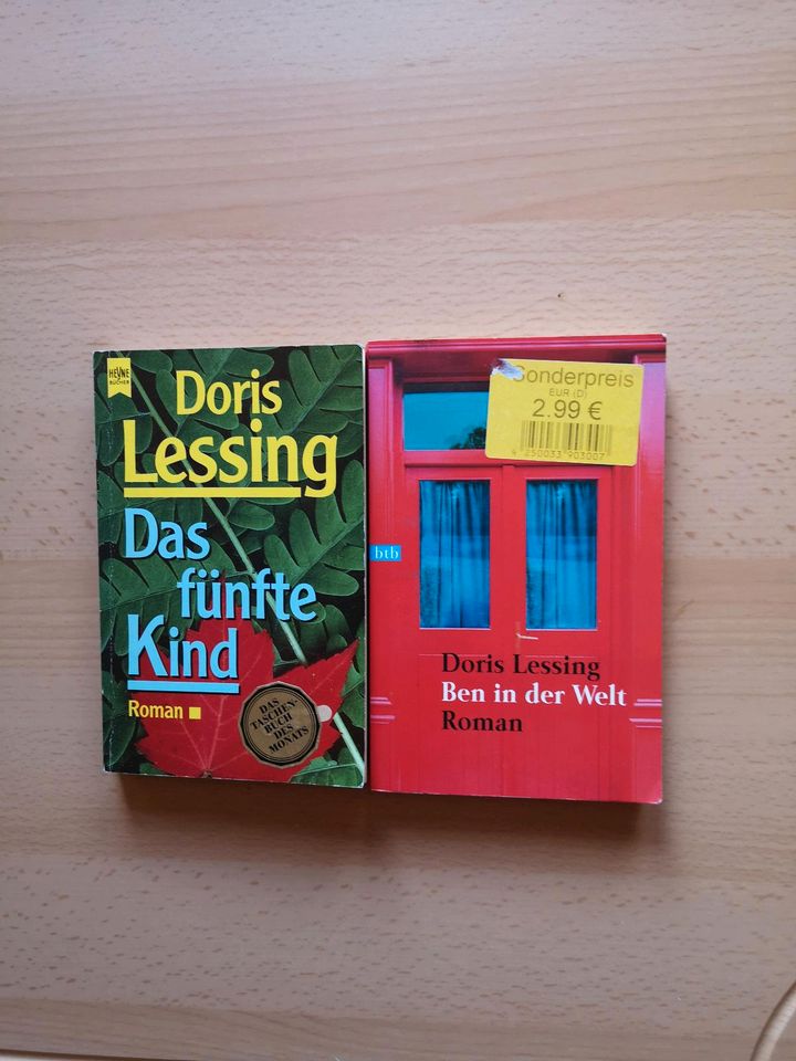 2 Romane von Doris Lessing Das fünfte Kind, Ben in der Welt in Waltershausen