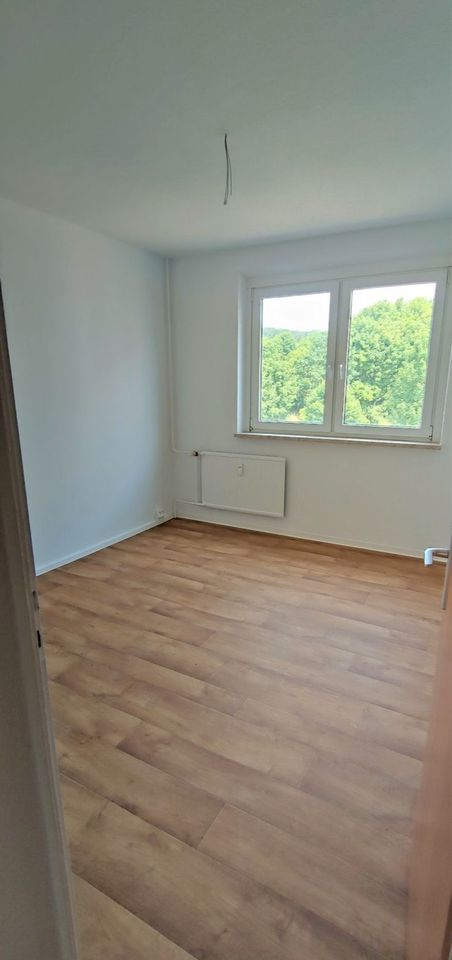 Kernsanierte 3-Zimmerwohnung Am Kiliansberg in Meiningen
