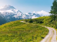 Wander im Harz! Wer hat Lust? Niedersachsen - Braunschweig Vorschau