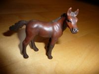 Schleich Pferde Trakehner Quarterhorse Pinto Appaloosa Lipizzaner Nordrhein-Westfalen - Unna Vorschau