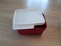 TUPPERWARE Kühle Ecke 500ml Nordrhein-Westfalen - Neuenkirchen Vorschau