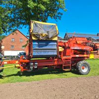 Grimme SE 70 20  Kartoffelroder Kartoffelvollernter Seitenroder Nordrhein-Westfalen - Rheda-Wiedenbrück Vorschau