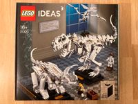 LEGO® Ideas 21320 Dinosaurier-Fossilien Düsseldorf - Derendorf Vorschau