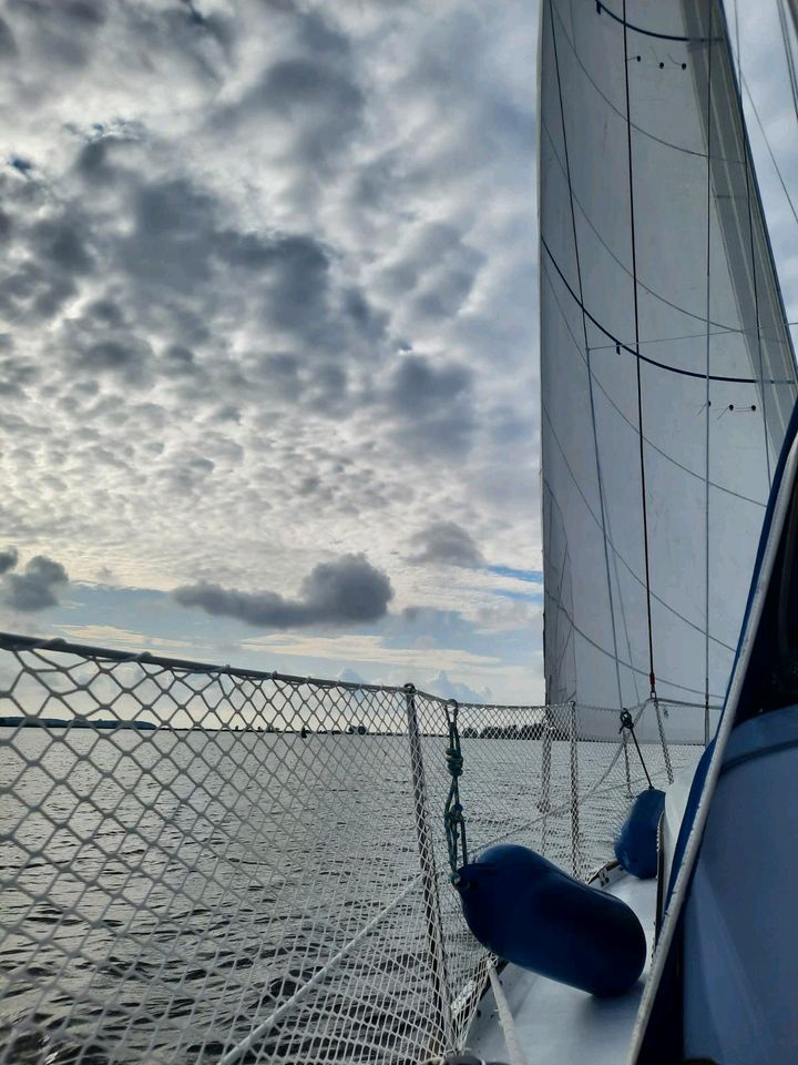 Segelboot Dufour 30 Arpege Klassiker in Karlshagen