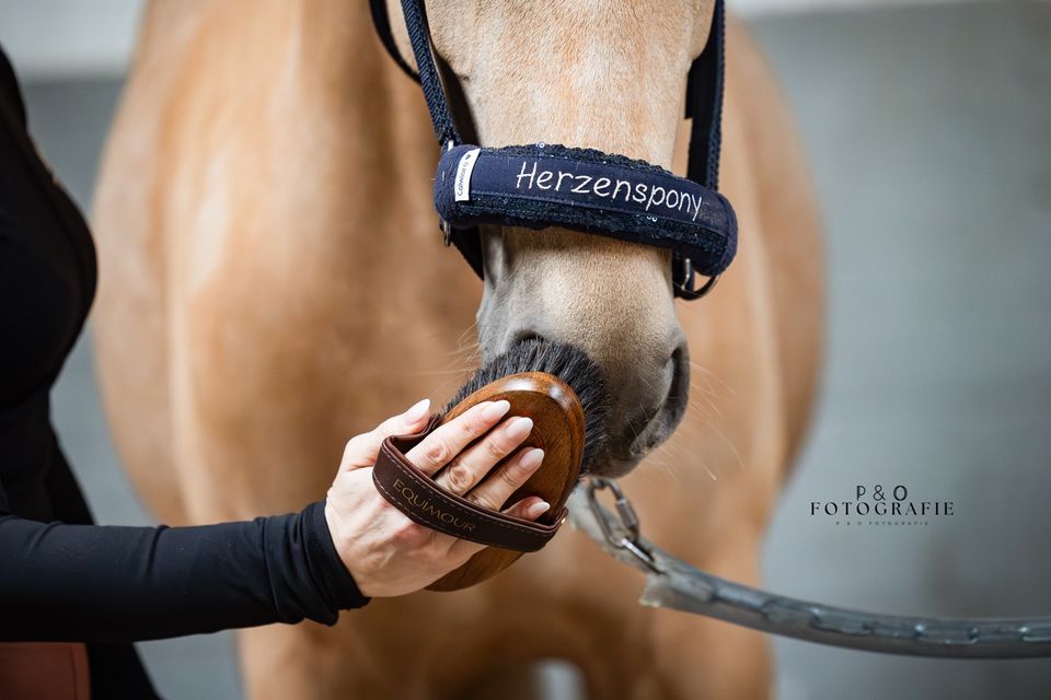 Noseband mit Pferdename, Halfter, Trense Geschenk Reitbeteiligung in Viersen