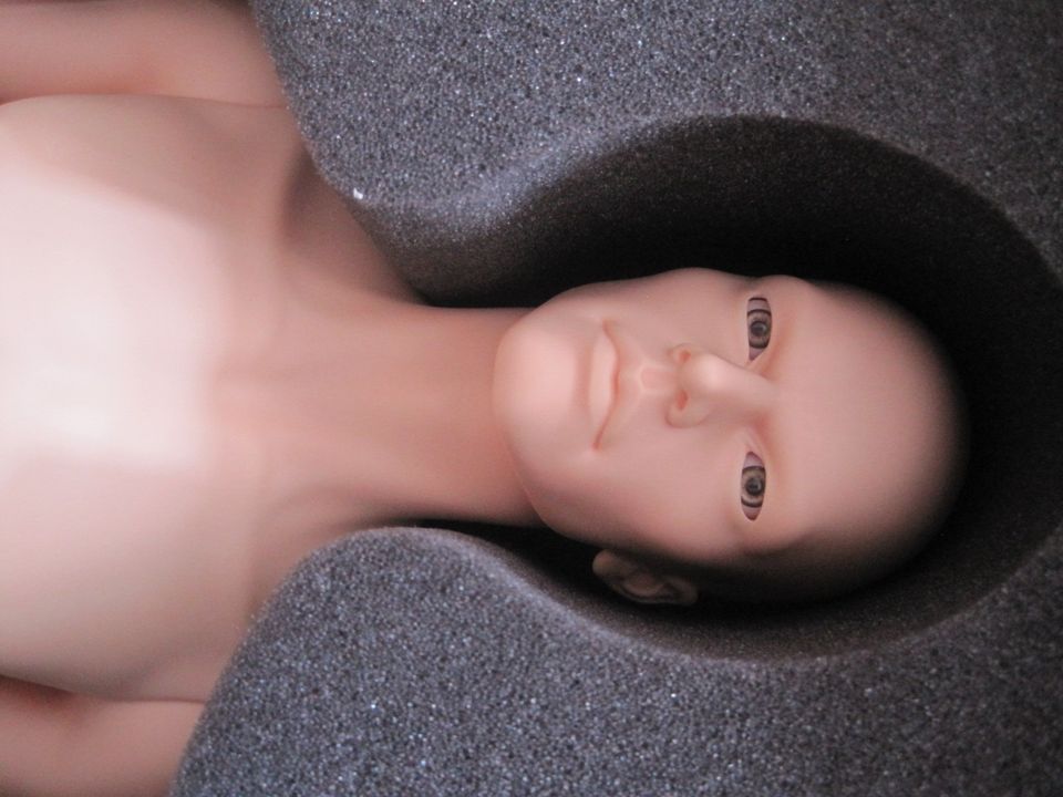 BJD Iplehouse Dexter Doll Puppe normal skin mit COA und Box LEGIT in Wuppertal