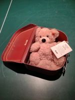 Steiff Teddybär Fynn 28 im Reisekoffer Nordrhein-Westfalen - Inden Vorschau