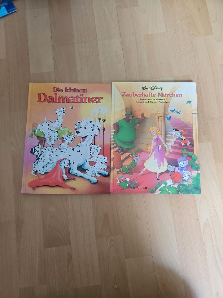 Zauberhafte Märchen Disney in Leer (Ostfriesland)