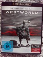 Westworld Staffel 2.  4k Ultra HD Blu-ray Bayern - Haibach Unterfr. Vorschau