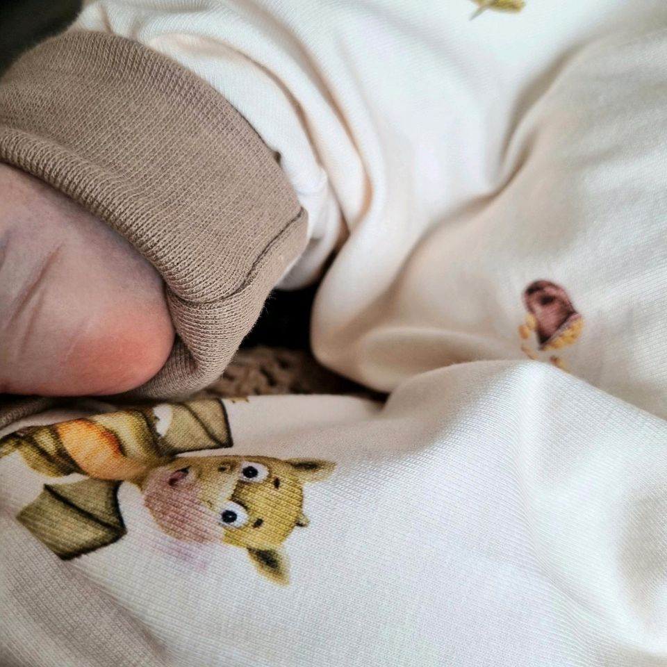 Baby Pumphose Drache | Reborn Baby in Flensburg