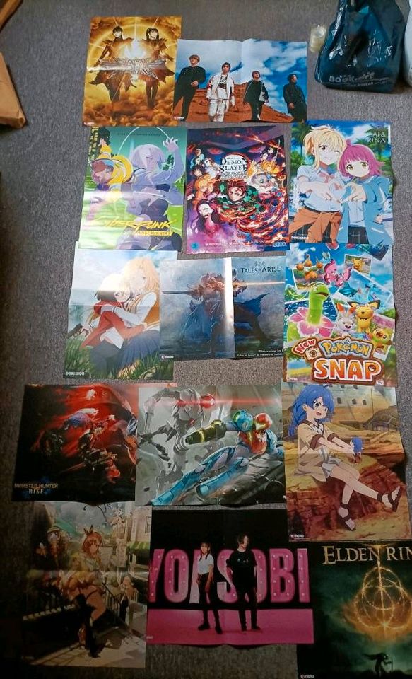 Verschiedene Anime Poster Aot Pokemon Demon Slayer Vanitas mha bl in Harsum