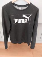 Puma Sweatshirt Grau M Niedersachsen - Lüneburg Vorschau