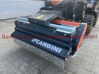 Cangini Mulcher TC2F-140 NEU EURO  Hoflader Lader Niedersachsen - Bremervörde Vorschau