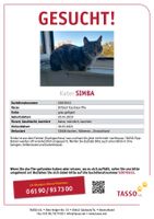 Simba vermisst seit 30.03.24 Aachen - Aachen-Mitte Vorschau