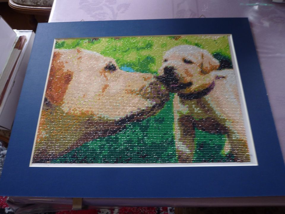 Bild Diamond Painting   Labrador-Hund mit Welpen in Hermaringen