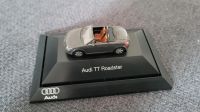 Rietze 1:87 Werbemodell Audi TT Roadster Nordrhein-Westfalen - Detmold Vorschau