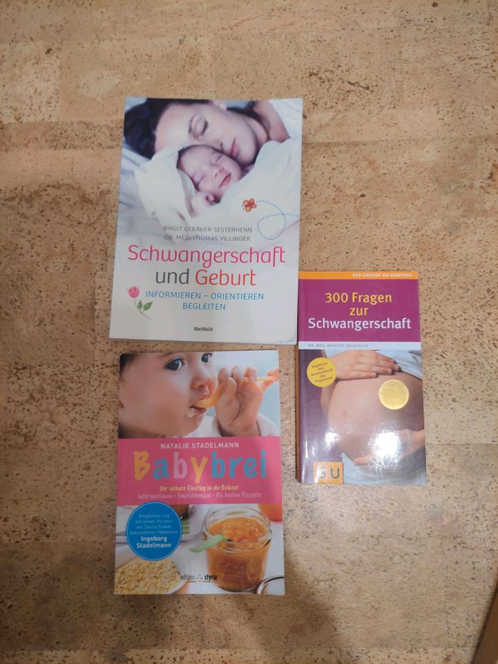 Schwangerschaft und Babybrei Bücher im Paket in Nürtingen