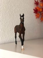 Breyer Repaint auf dem Heartbreaker Modell Sachsen - Bautzen Vorschau