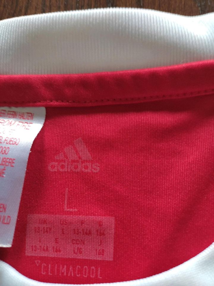 Trikot Sport-Shirt FC Bayern München Gr. 164 in Herzberg am Harz