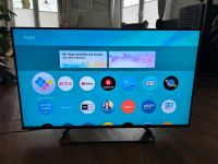 Smart Tv Panasonic 40 Zoll Niedersachsen - Damme Vorschau