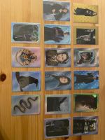 Harry Potter Evolution Trading Cards Freiburg im Breisgau - Altstadt Vorschau