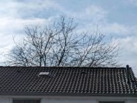 Dachdecker Dachsanierung Dachrenovierung Dämmung Essen - Schonnebeck Vorschau